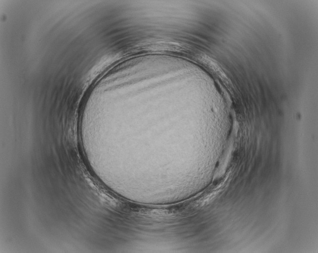 X0000087060986200705091156