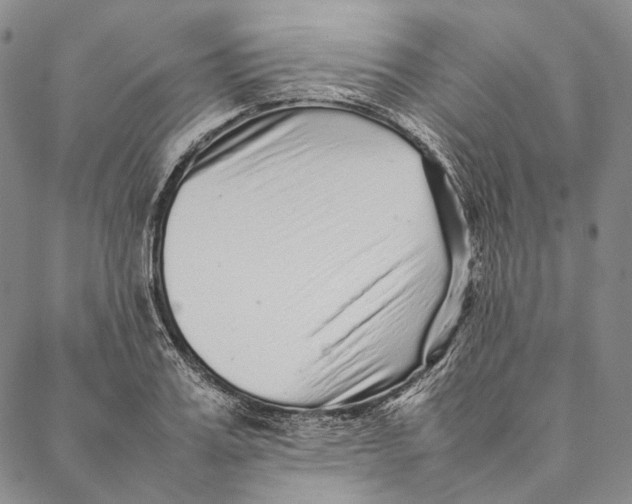 X0000087060987200705091156