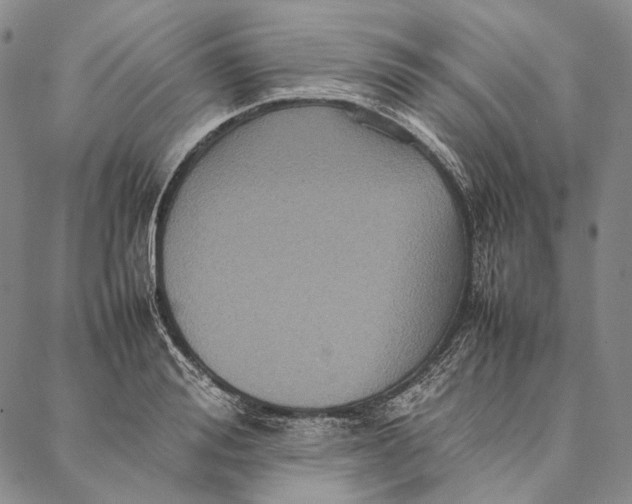 X0000087060988200705091156