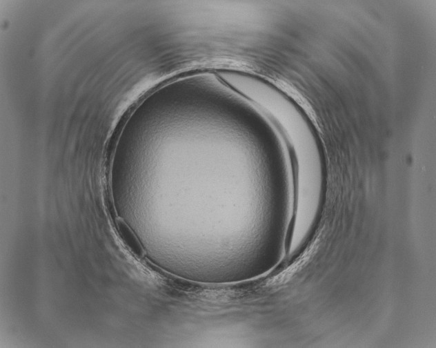 X0000087060989200705091156