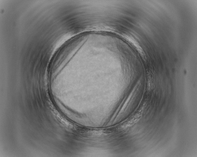 X0000087060990200705091156