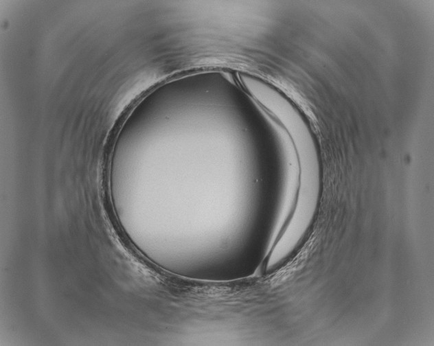 X0000087060991200705091156