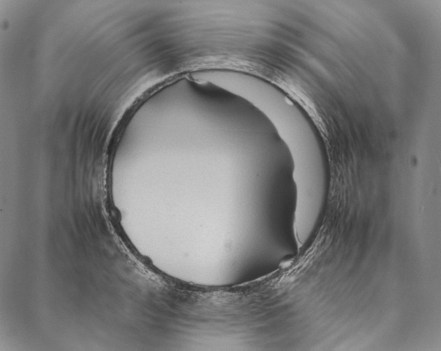 X0000087060992200705091156