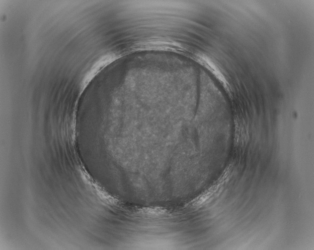 X0000087060994200705091156