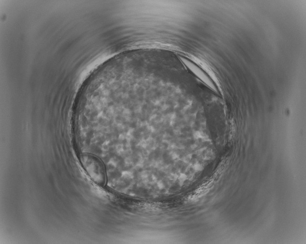 X0000087060995200705091156