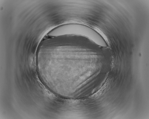 X0000087060996200705091156