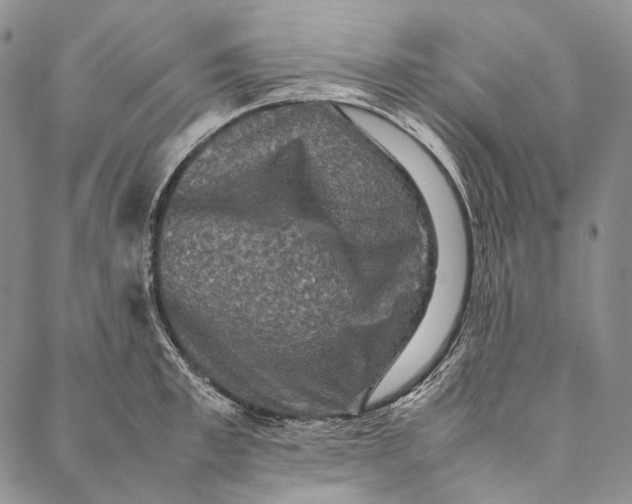 X0000087060997200705091156