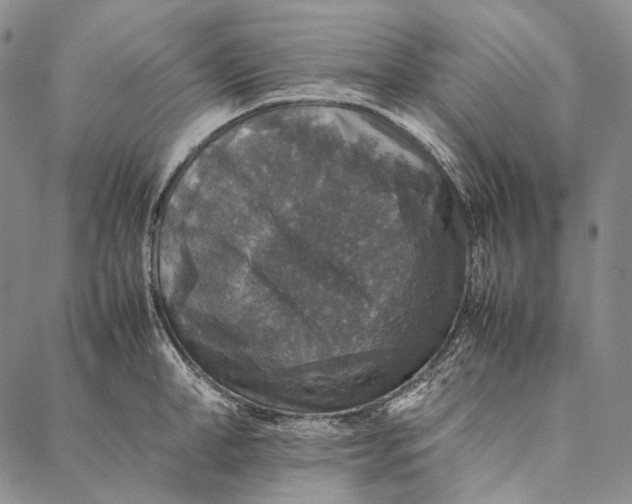 X0000087060998200705091156