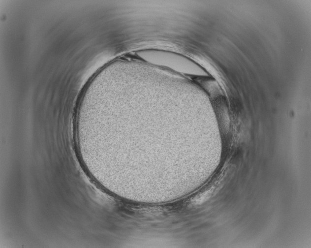 X0000087060999200705091156