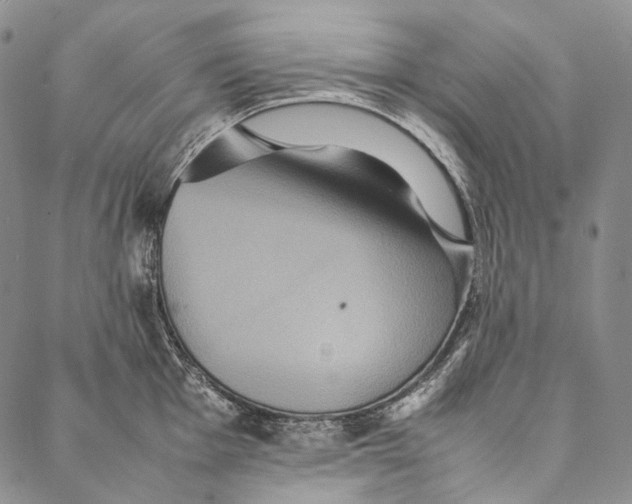 X0000087061001200705091156