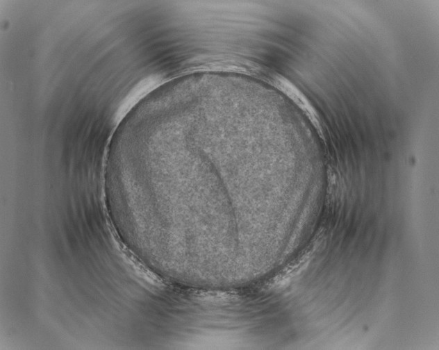 X0000087061002200705091156