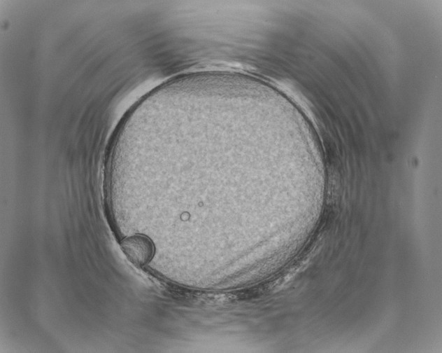 X0000087061003200705091156