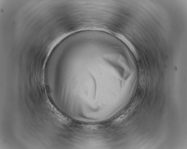 X0000087061004200705091156