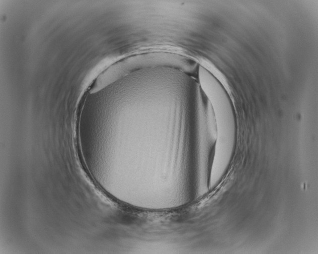 X0000087061005200705091156