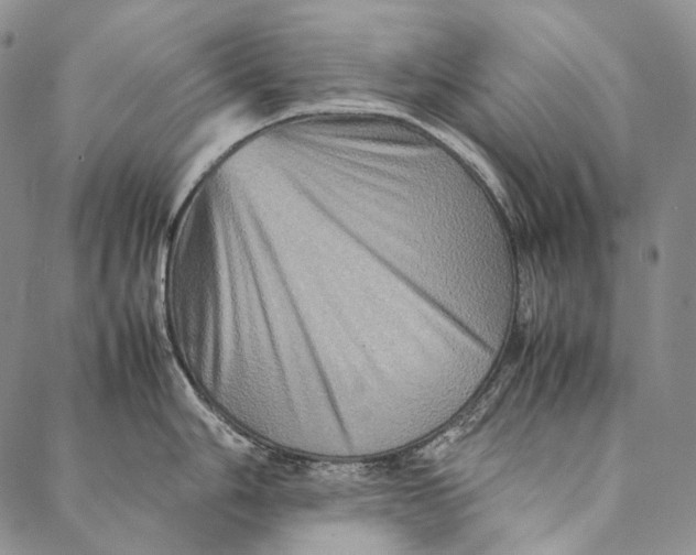 X0000087061006200705091156