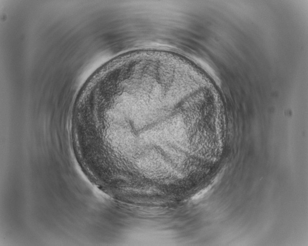 X0000087061007200705091156