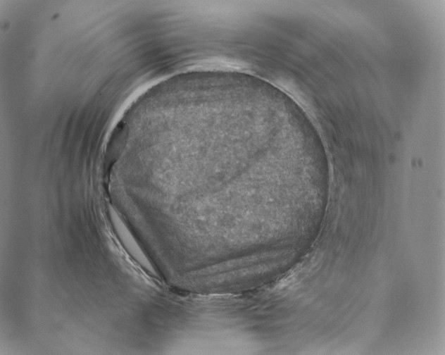 X0000087061008200705091156