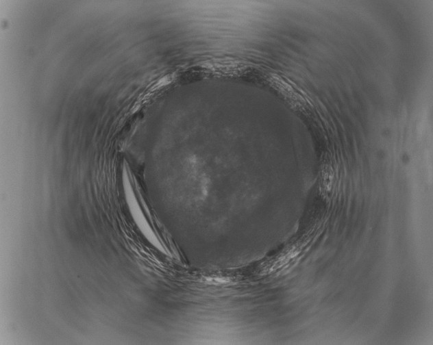 X0000087061010200705091155