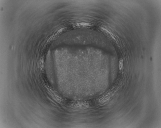 X0000087061011200705091155