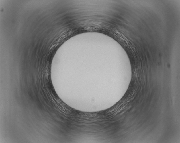 X0000087061012200705091155