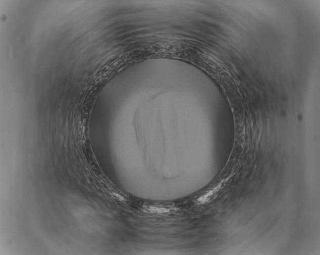 X0000087061013200705091155