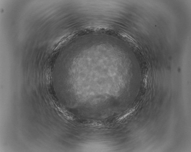 X0000087061014200705091155