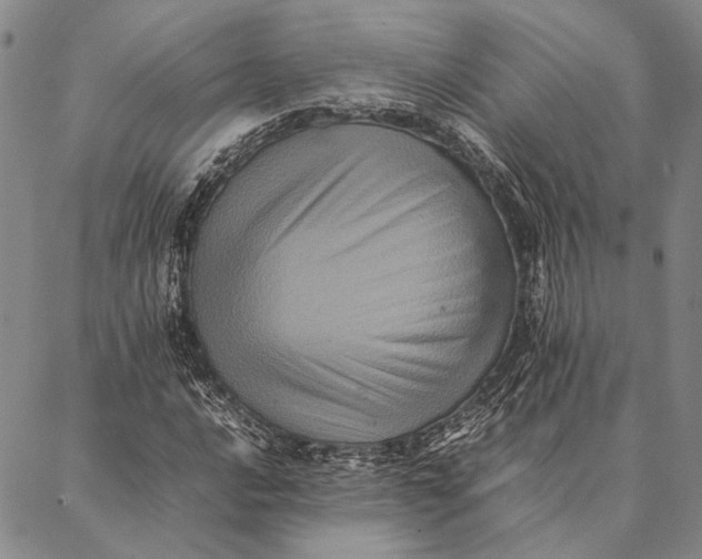 X0000087061016200705091155