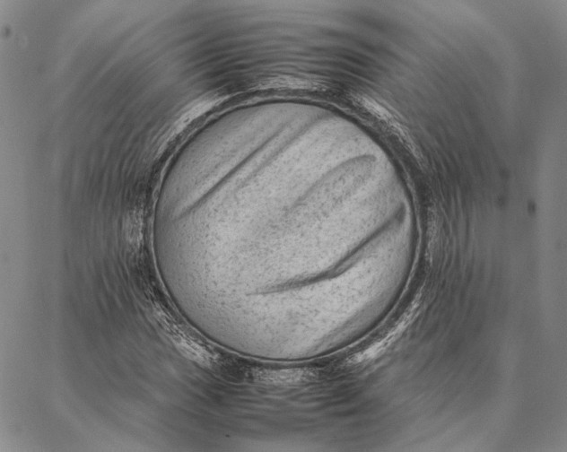 X0000087061017200705091155