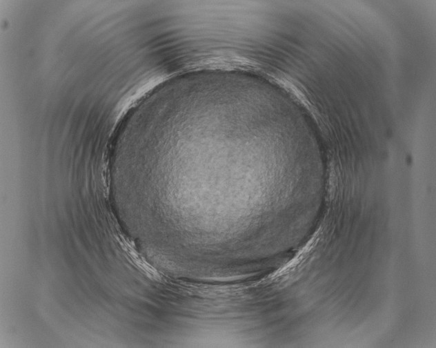 X0000087061018200705091155