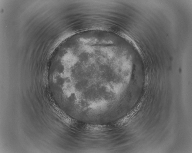 X0000087061019200705091155