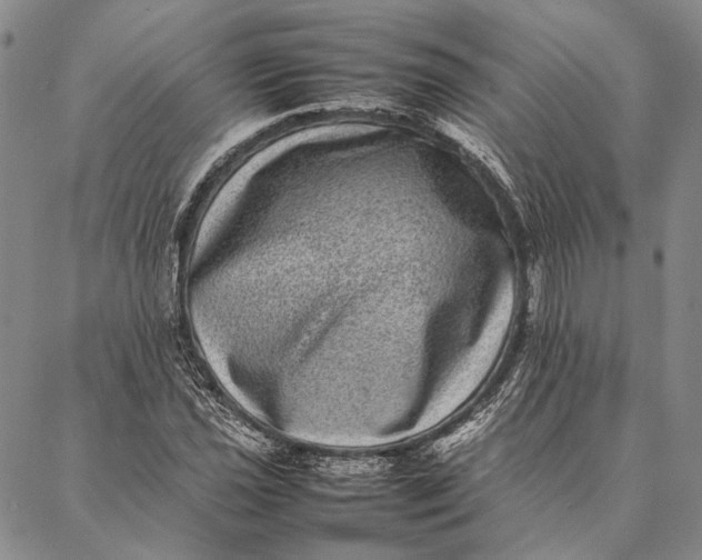 X0000087061021200705091155