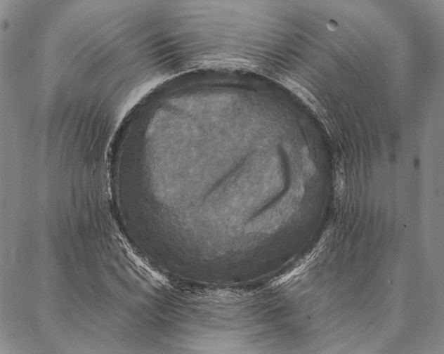 X0000087061022200705091155