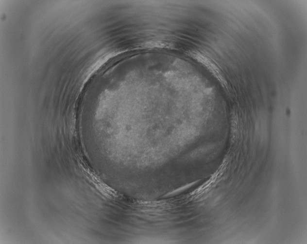 X0000087061023200705091155