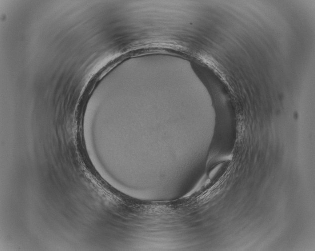 X0000087061024200705091155