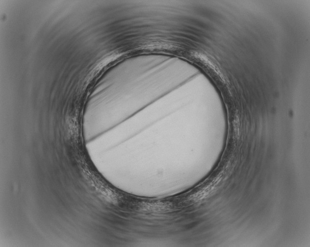 X0000087061025200705091155