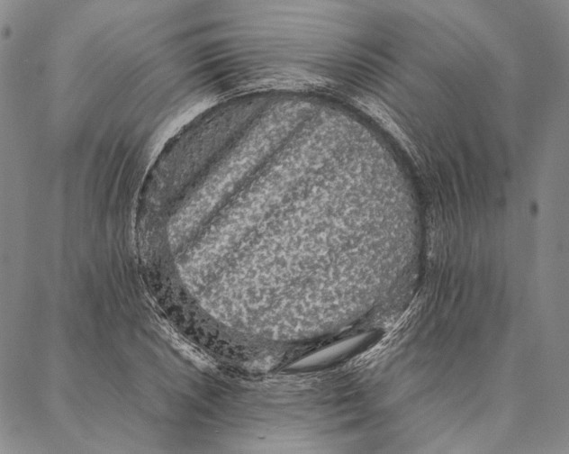 X0000087061026200705091155