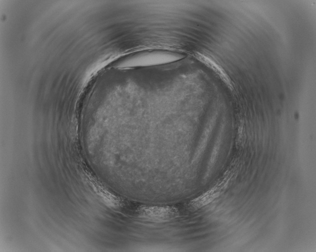 X0000087061027200705091155