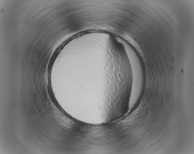 X0000087061028200705091155