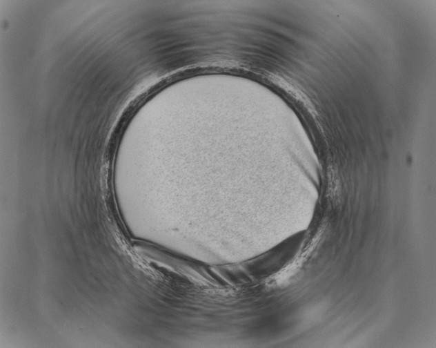 X0000087061029200705091155