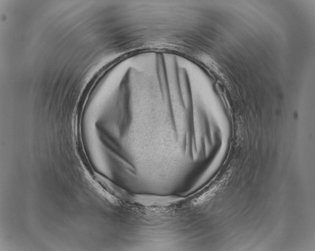 X0000087061032200705091155