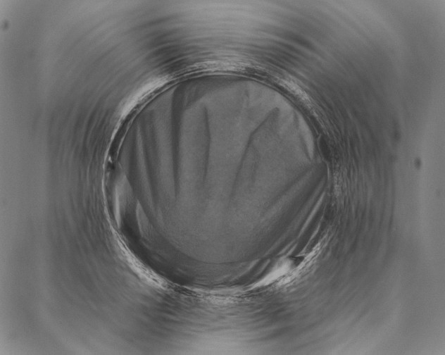 X0000087061034200705091155