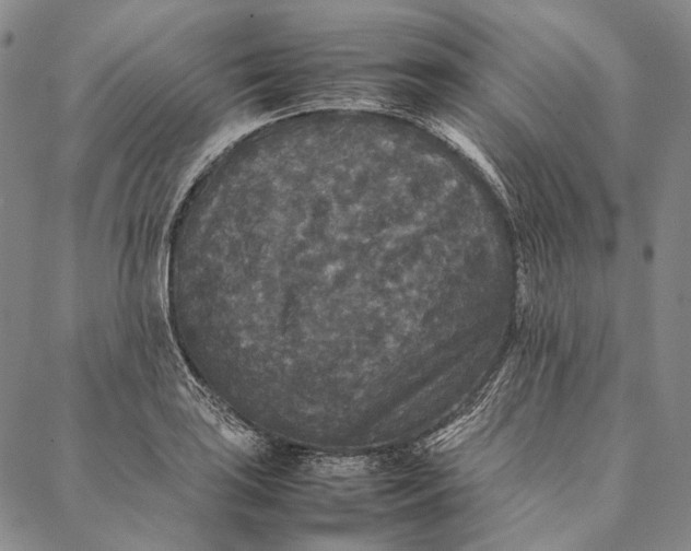 X0000087061035200705091155