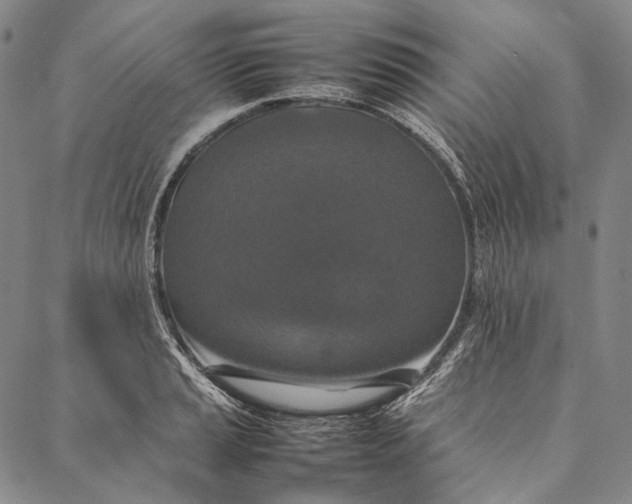 X0000087061037200705091155