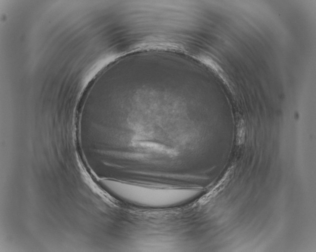 X0000087061038200705091155