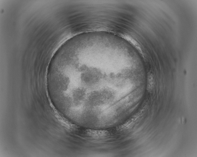 X0000087061039200705091155