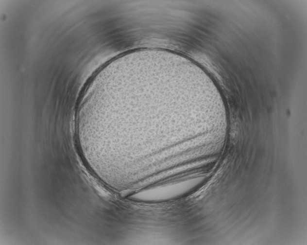 X0000087061040200705091155