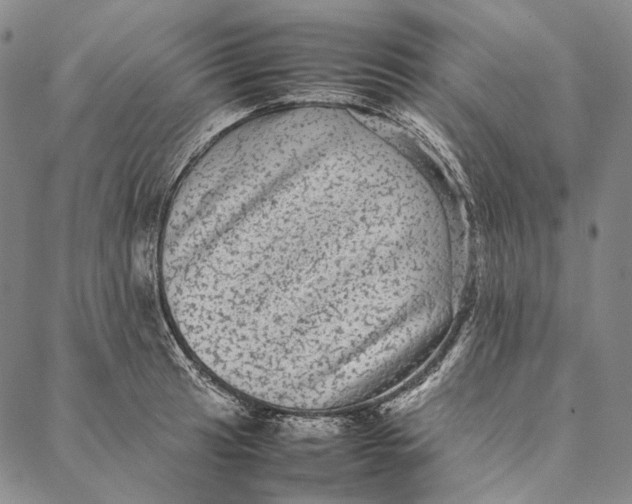 X0000087061041200705091155