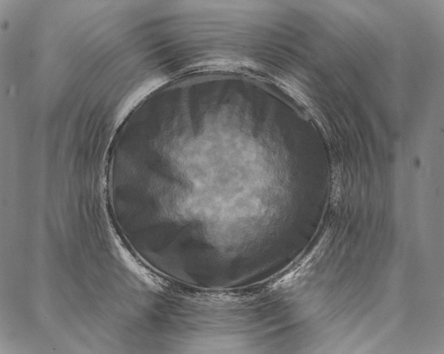 X0000087061042200705091155