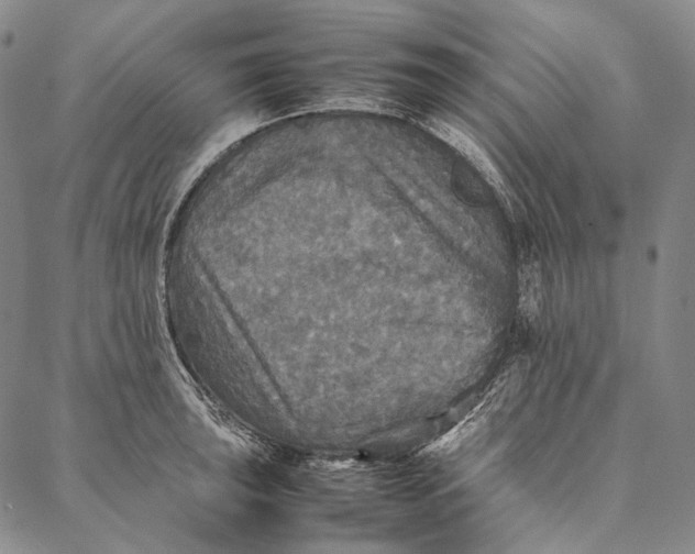 X0000087061043200705091155