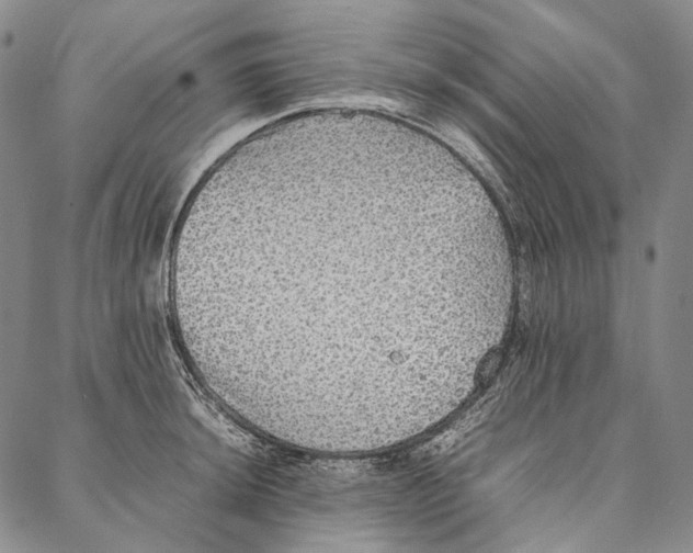 X0000087061044200705091155